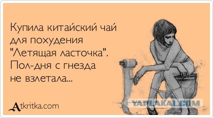 Мы все хотя бы раз пытались похудеть, но эти 16 человек делают это особенно смешно