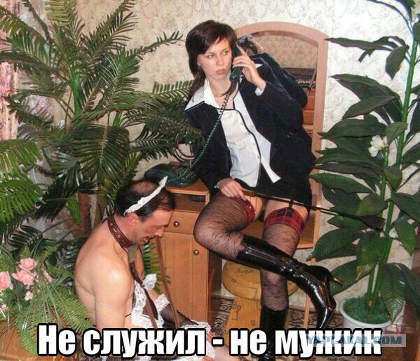 Скотсети и прочие интернеты 25.12.17