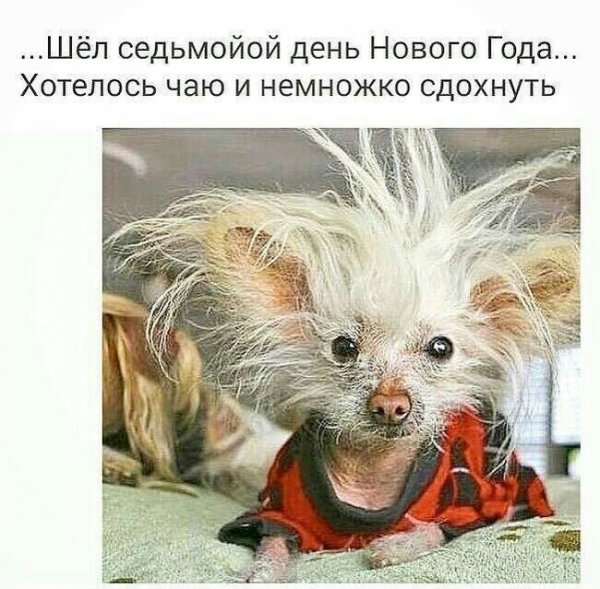 Подборка интересных и веселых картинок