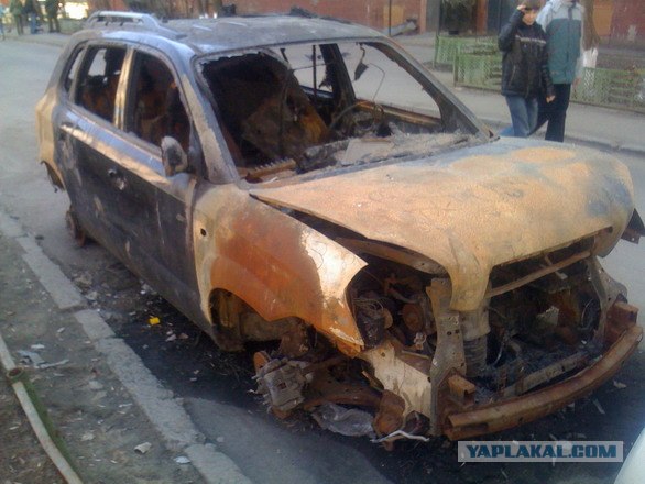 Злодеяния бутовского пиромана