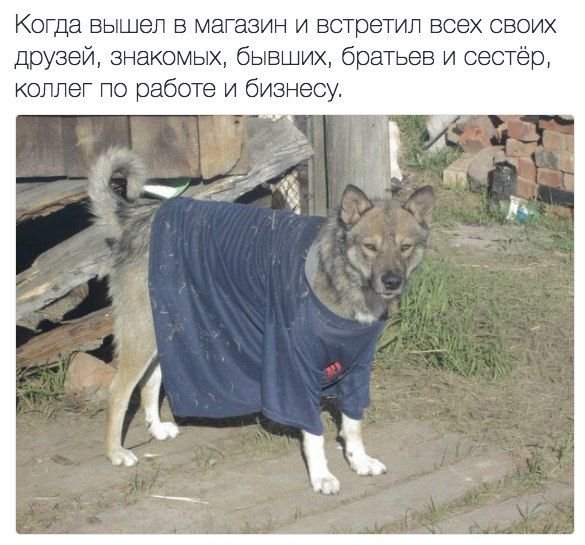 ПоСРЕДственная подборка