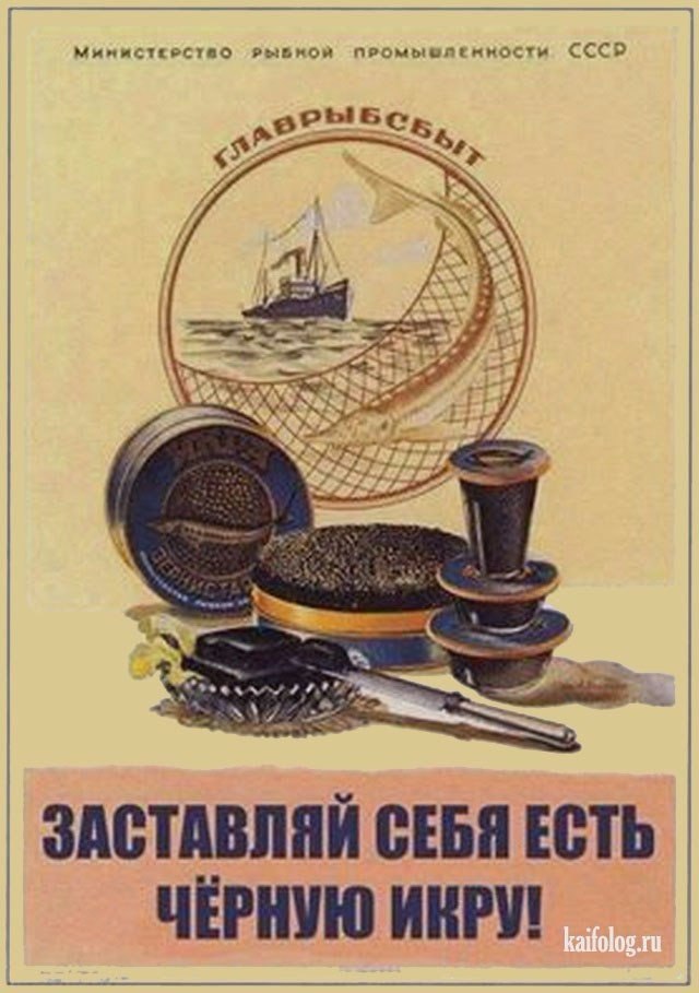 Рыбаки в Японском море: Прибрежный промысловый лов минтая в заливе Петра Великого в Приморском крае