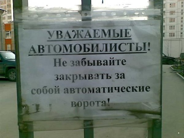 Прикольные картинки обо всем