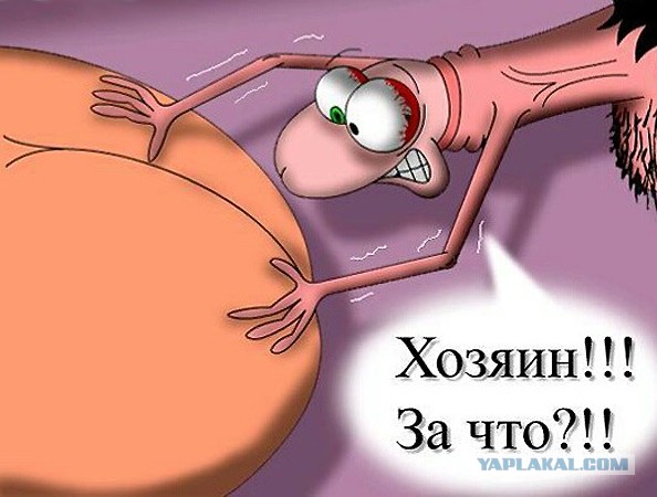 В Realbotix создали секс-робота для женщин