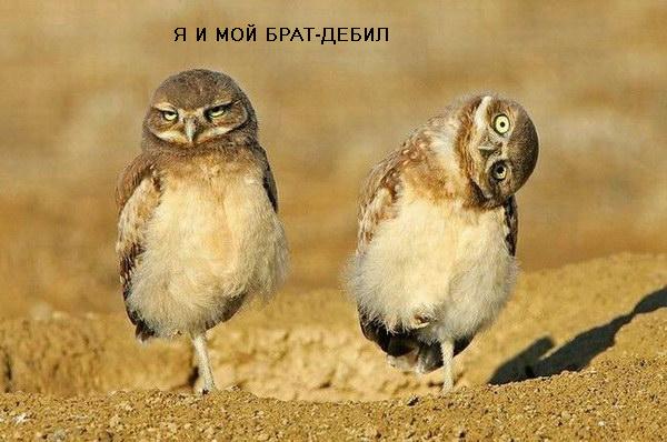 Сонное царство