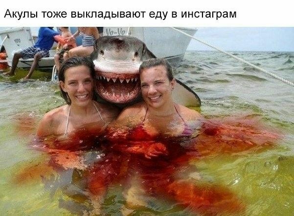 Чёрный вторник наступил! Тёмные силы вырвались на свободу...