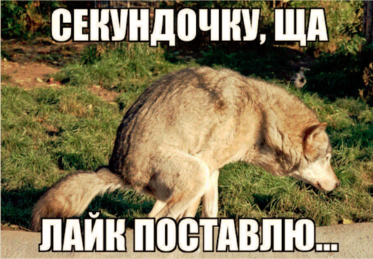 Когда рынки закрыли и пошел барыжить в ТЦ