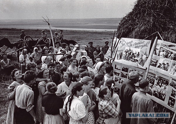 Пятничные кубики 21.09.2018