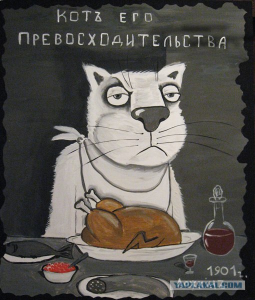 Три факта о кошках, которые вы, возможно, не знали