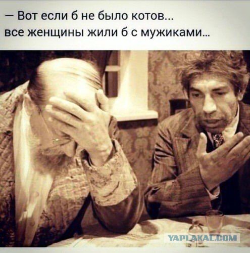 Подборка интересных и веселых картинок
