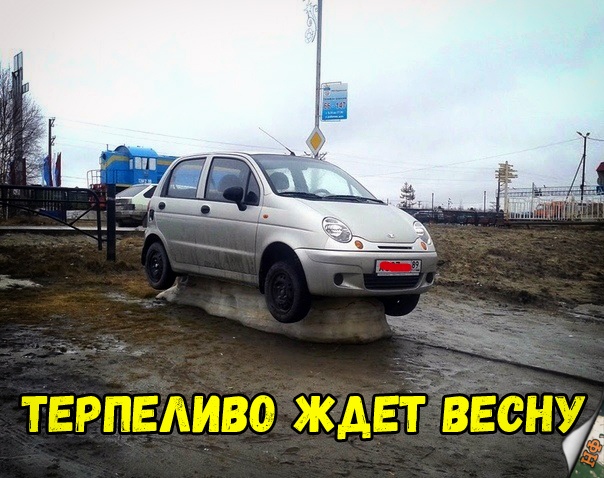 Нестандартный юмор