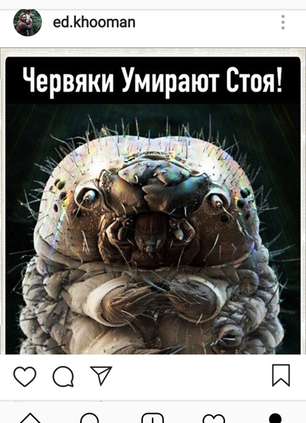 Вива ла деградасьон