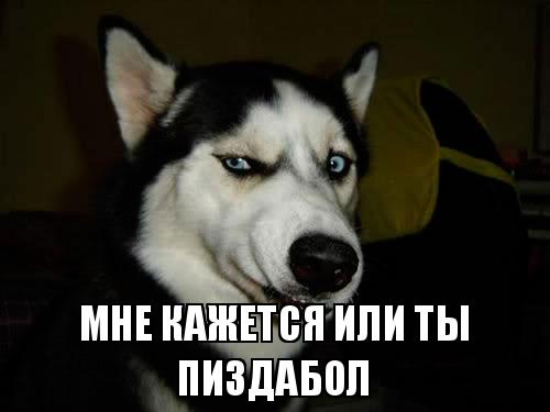 "Взлетит не взлетит". Создание мема о самолете и транспортере