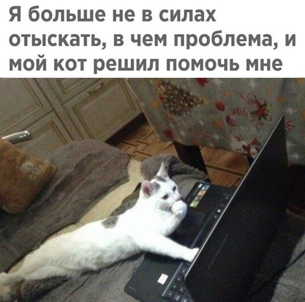 Чуток картинок. 02.02.20