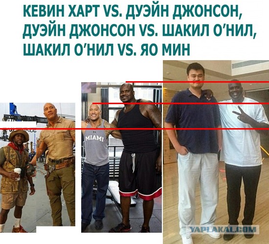 «Картинки разные нужны, картинки разные важны!» ©