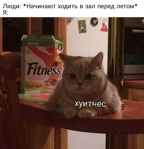 Бредзона 27.02.2020