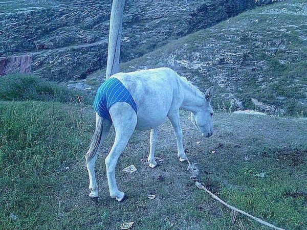 Нету и не ожидается.