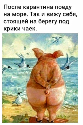 Немного картинок для настроения 30.06.20