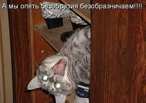 Позитивные картинки на 26.07.2020