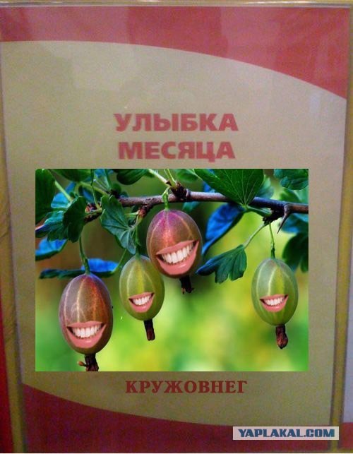 Фотожаба: Первое место по улыбкам!