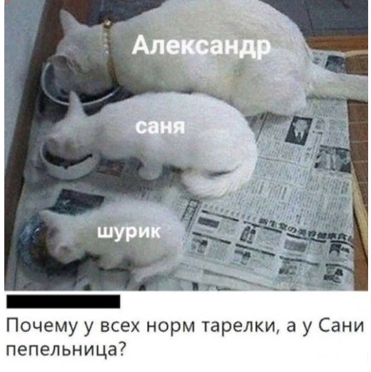 Кретинизмы из сети 12.01.21