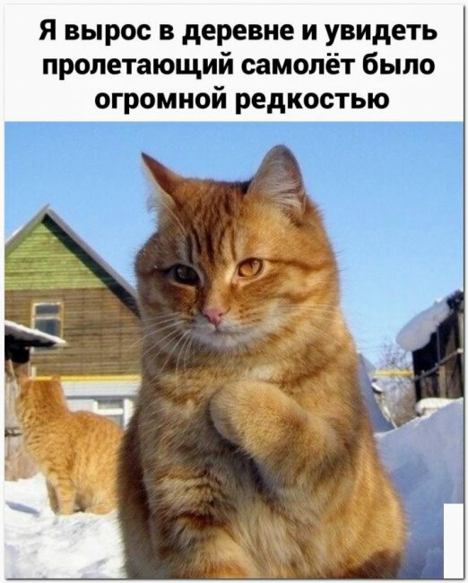 Картинки и мемы для настроения 002