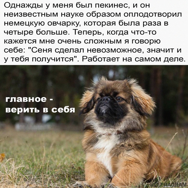 Картинки и мемы для настроения 15.03.2021
