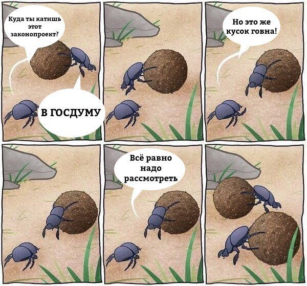 В Совфеде разработают законопроект о навозе