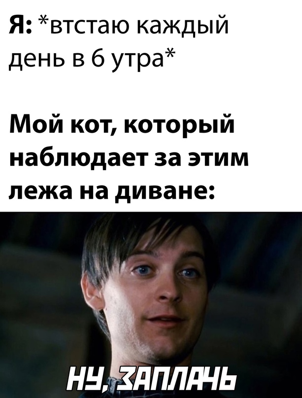 Весёлый полтишок 17.06.