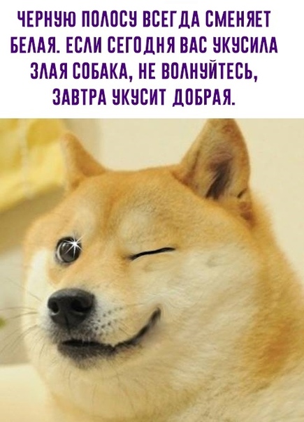 Картинки и мемы для настроения 21.06.2021