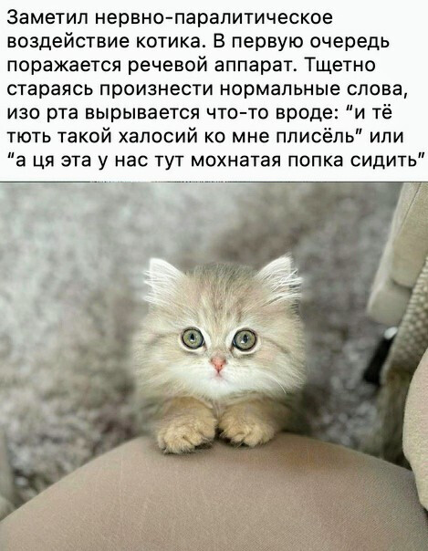 Фотки и картинки с текстом: юморные и красивые, забавные и милые 12.07.21