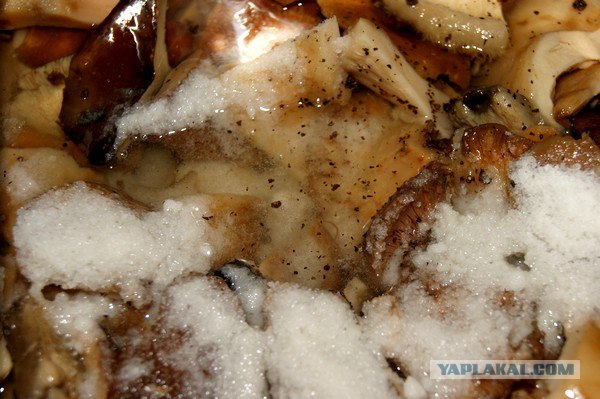 Осень в банках