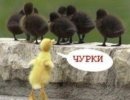 Парни из Махачкалы решили снять красивое видео для инсты