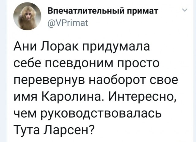 Человек собаке друг и другие картинки и мемы  под настроение