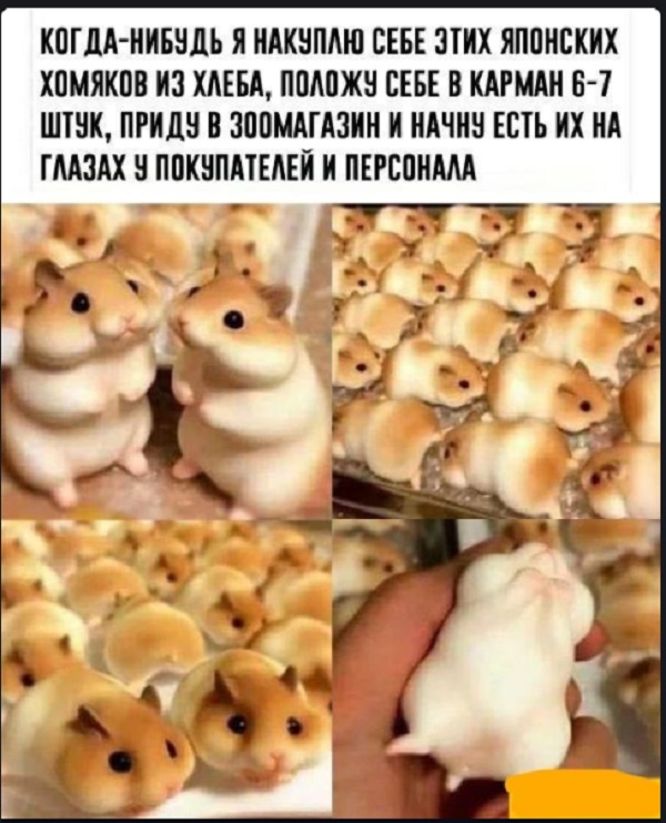 Картинки с надписями и всякие жизненные фразы