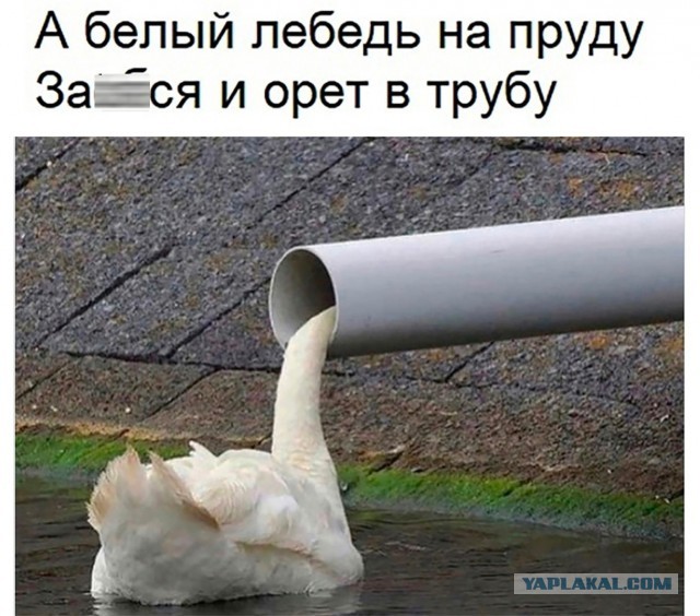 До выборов тем временем осталось 2 года. [ч.2]