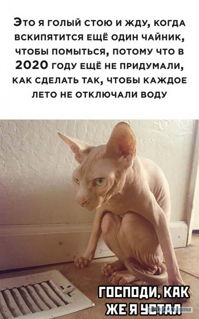 Картинки 04.07.22
