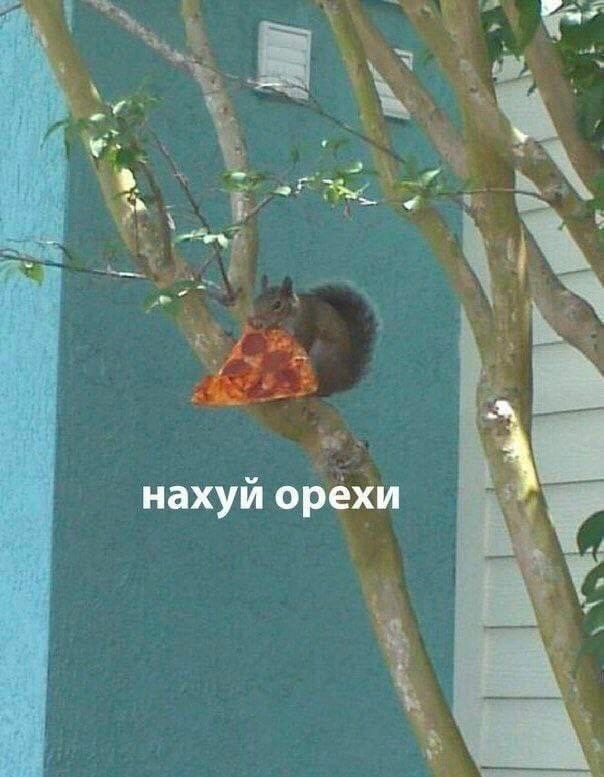 Юмор в картинках и без 05.08.22