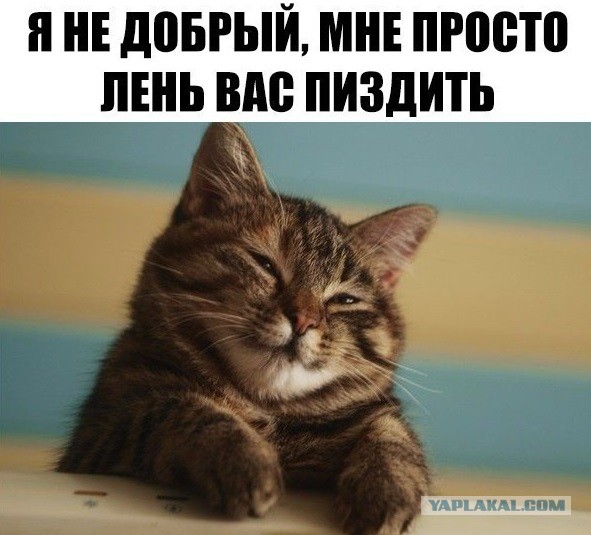 Картинки и мемы для настроения - 133