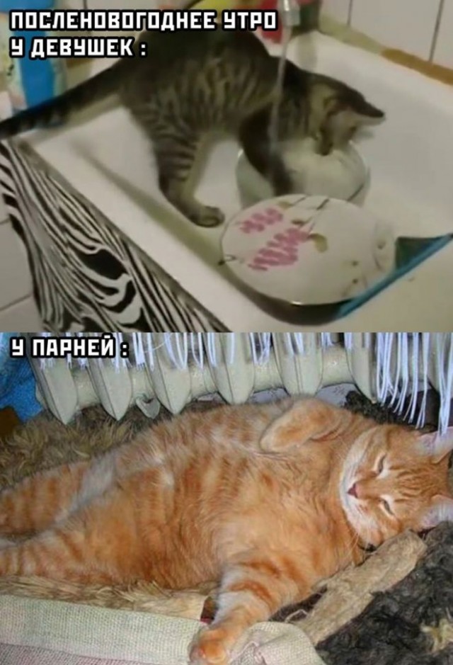 Картинки и мемы, всем хороших выходных