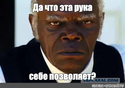 Не бесите котика!