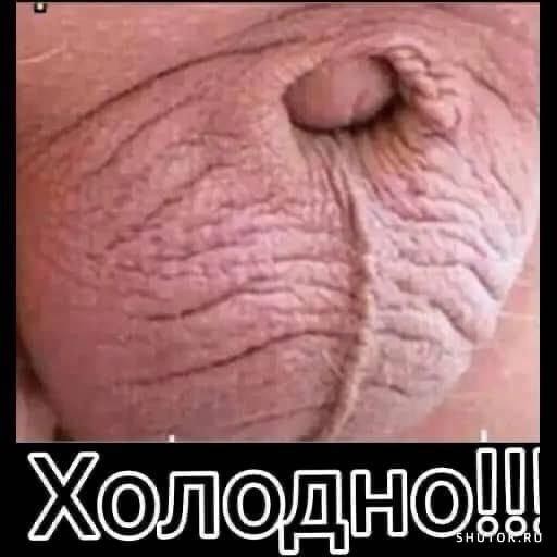 Дубак