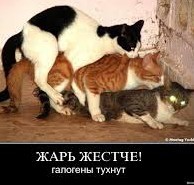 А нефиг было исподтишка нападать