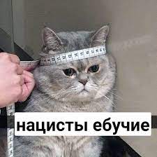 Американские политики предлагают разделить Украину между Польшей и Россией