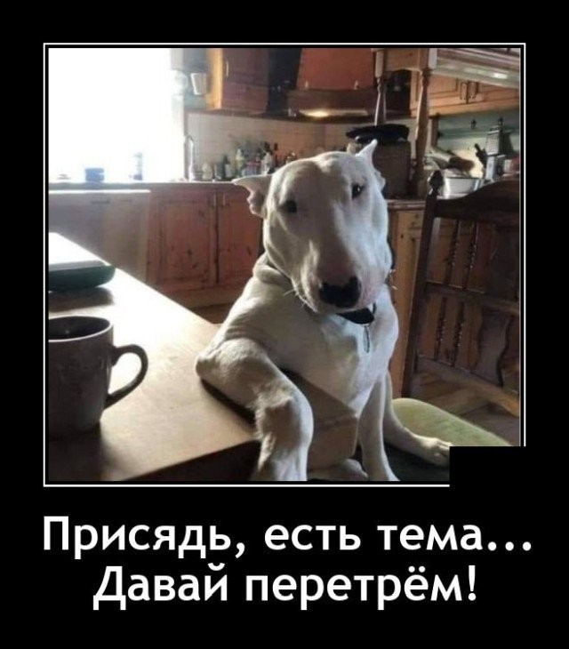 Весёлый полтишок 12.07 23