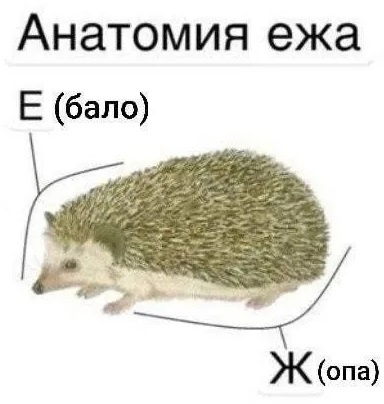 Так себе картинки 15.09.23