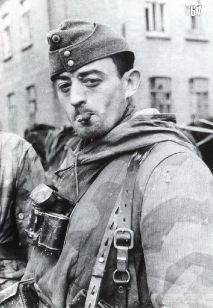 Кто воевал на стороне Гитлера