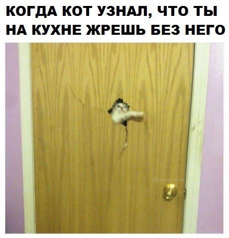 Так себе картинки 29.04.24