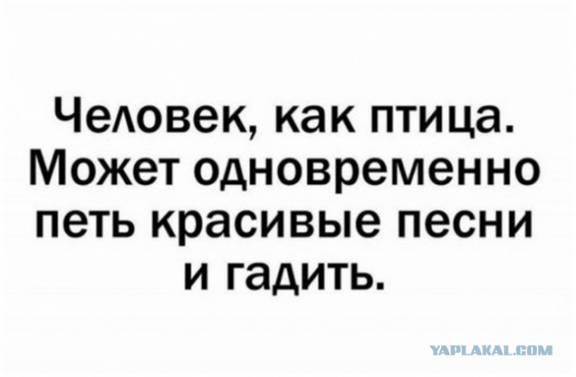 Завалялось тут случайно немного забавных картинок