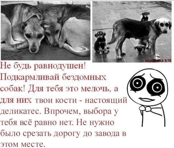 Так себе картинки 19.05.24